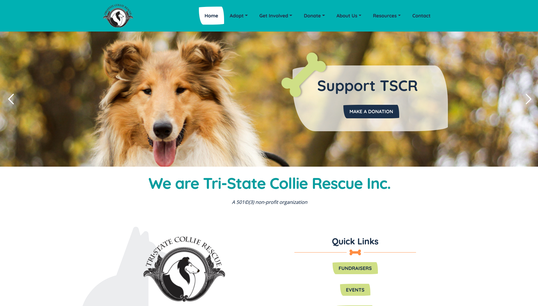 Website design for Tri-State Collie Rescue. Designed by Sitka Creations.